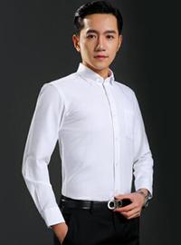商務(wù)正裝青年職業(yè)裝定